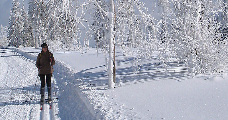 Langlaufloipe im Bayerischen Wald Langlaufzentrum Rusel Oberbreitenau Deggendorf